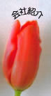 ҳ